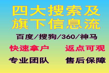 行业领先的SEM竞价广告投放案例